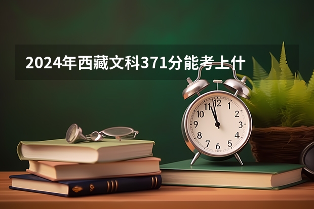 2024年西藏文科371分能考上什么大学？