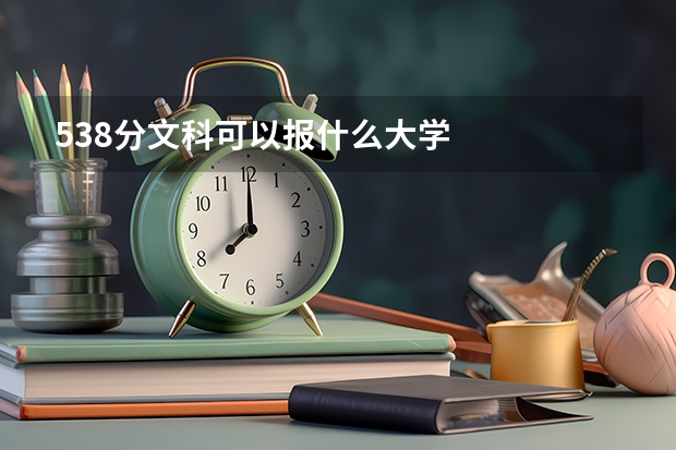 538分文科可以报什么大学