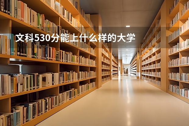 文科530分能上什么样的大学