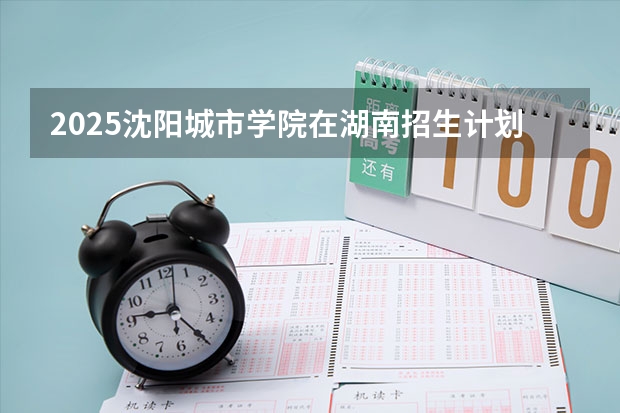 2025沈阳城市学院在湖南招生计划（招生人数）
