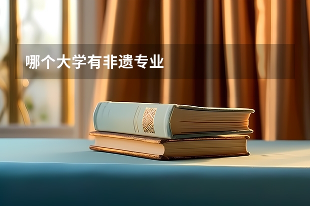 哪个大学有非遗专业
