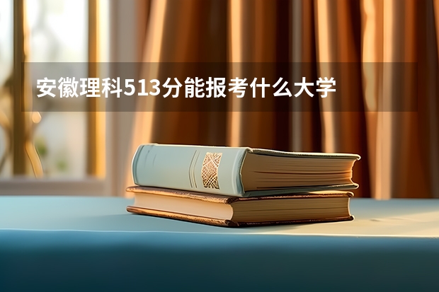 安徽理科513分能报考什么大学
