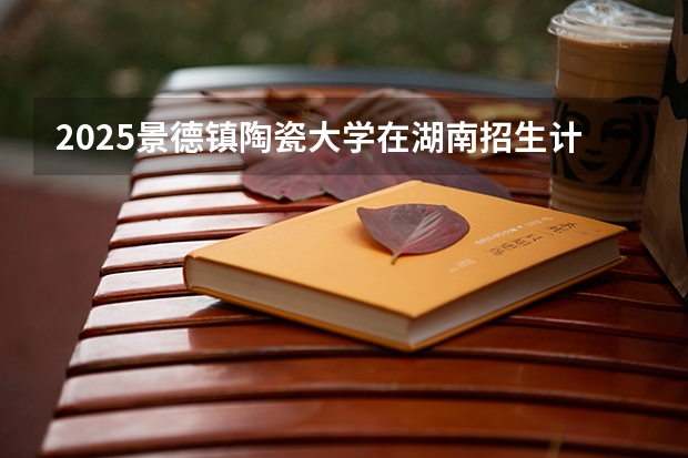 2025景德镇陶瓷大学在湖南招生计划（招生人数）