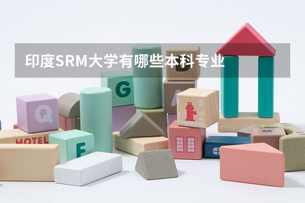 印度SRM大学有哪些本科专业