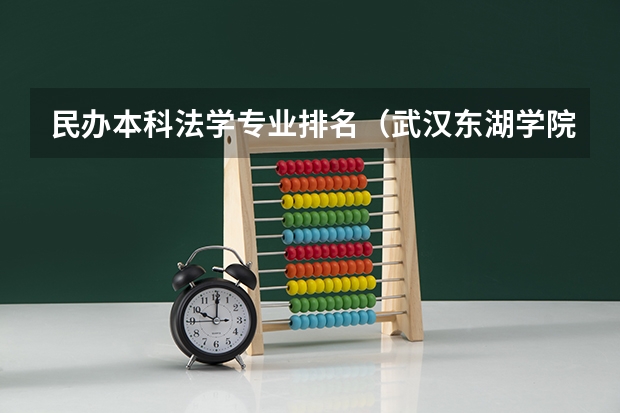民办本科法学专业排名（武汉东湖学院法学专业榜首）
