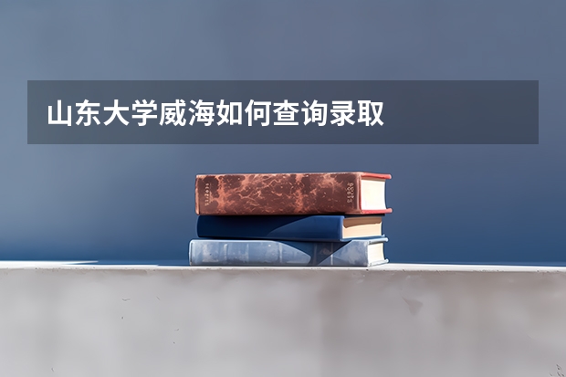 山东大学威海如何查询录取