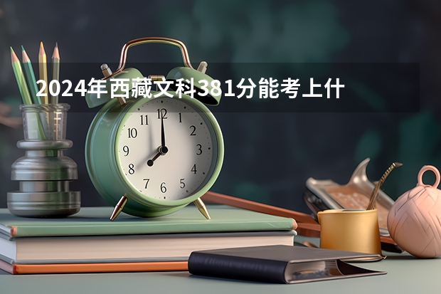 2024年西藏文科381分能考上什么大学？