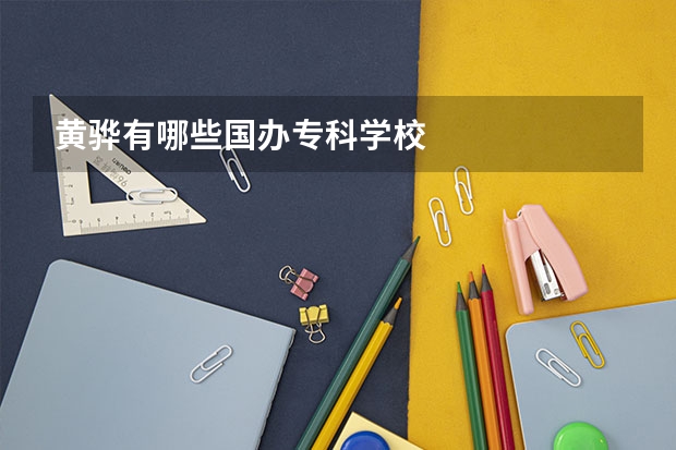 黄骅有哪些国办专科学校