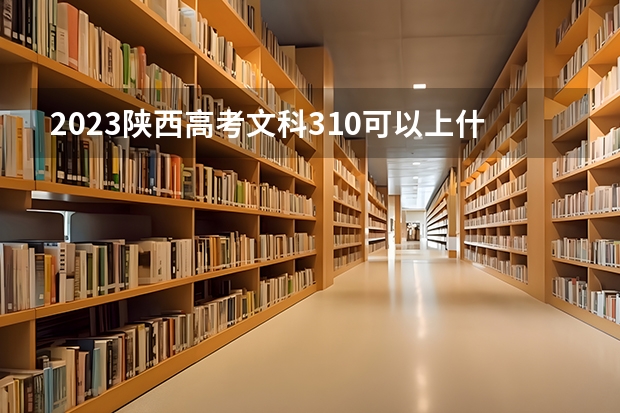 2023陕西高考文科310可以上什么大学