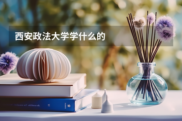 西安政法大学学什么的
