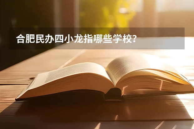 合肥民办四小龙指哪些学校？