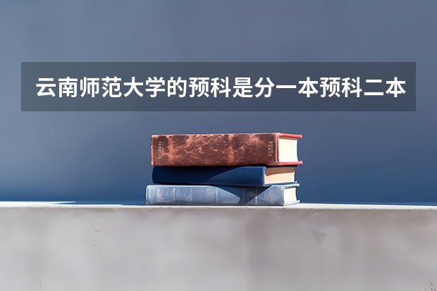 云南师范大学的预科是分一本预科二本预科吗