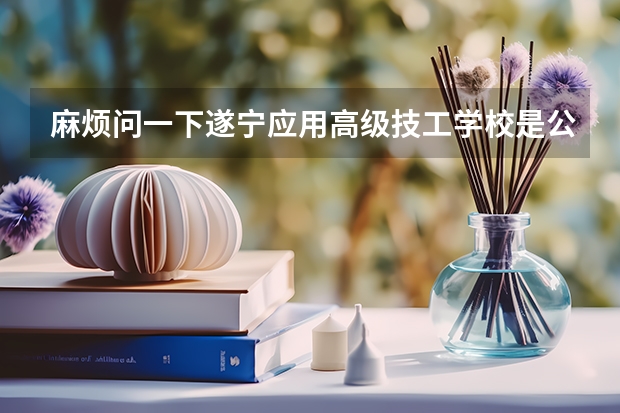 麻烦问一下遂宁应用高级技工学校是公办学校还是民办学校呢