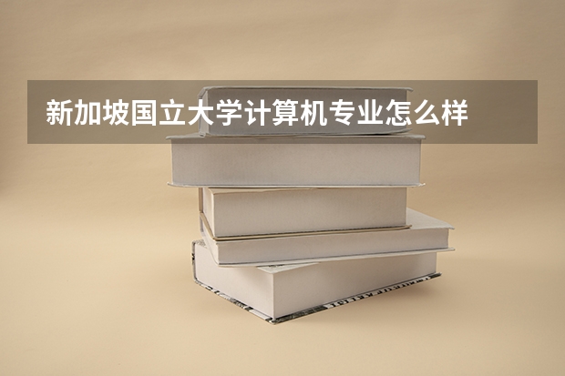 新加坡国立大学计算机专业怎么样