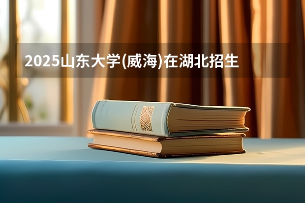 2025山东大学(威海)在湖北招生计划（招生人数）