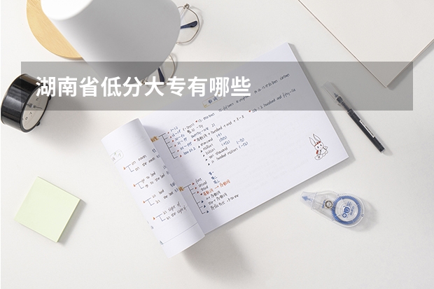 湖南省低分大专有哪些