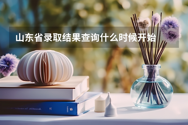 山东省录取结果查询什么时候开始