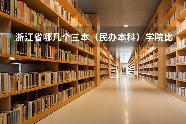 浙江省哪几个三本（民办本科）学院比较好？ 安徽省民办三本院校排名