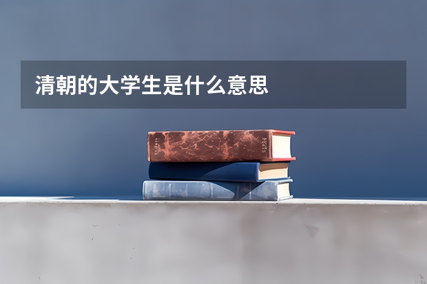 清朝的大学生是什么意思