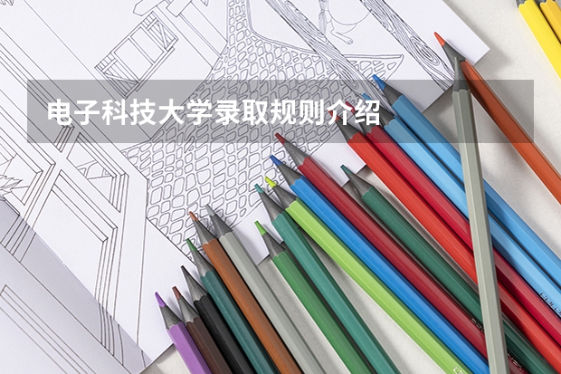 电子科技大学录取规则介绍