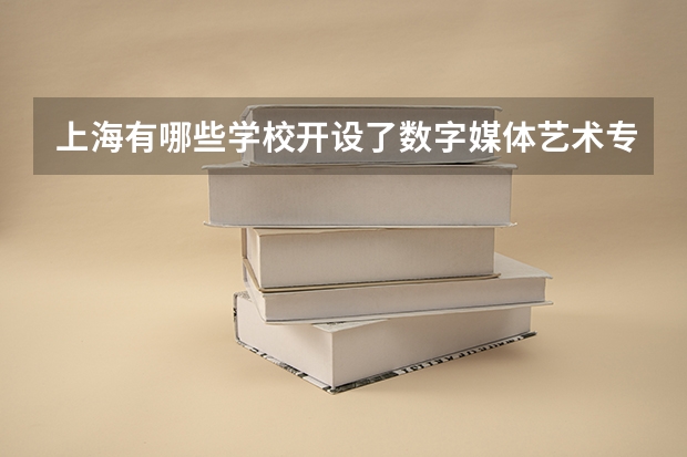 上海有哪些学校开设了数字媒体艺术专业