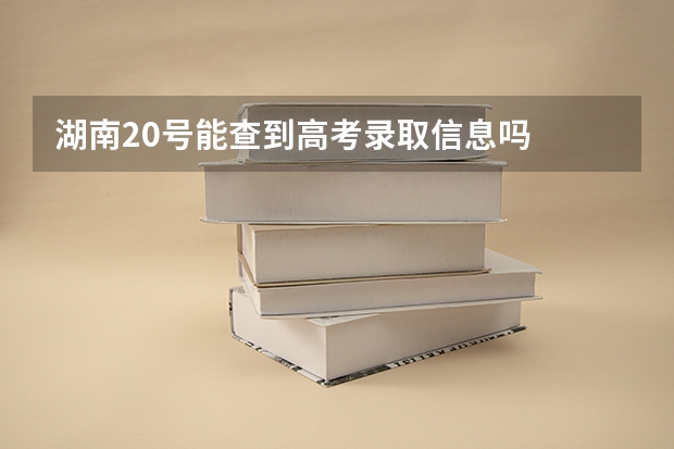 湖南20号能查到高考录取信息吗