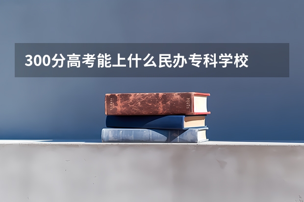 300分高考能上什么民办专科学校