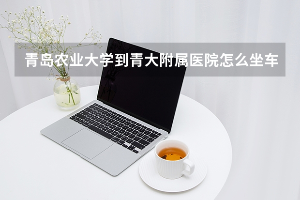 青岛农业大学到青大附属医院怎么坐车？