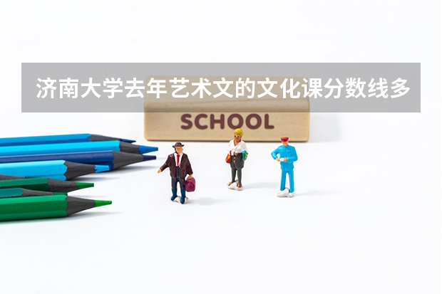 济南大学去年艺术文的文化课分数线多少？