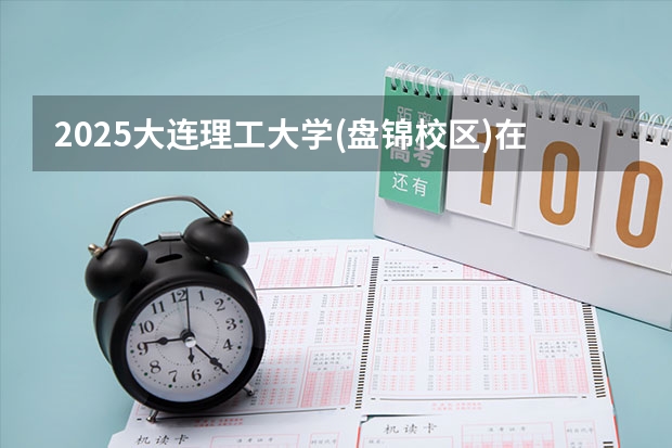 2025大连理工大学(盘锦校区)在安徽招生计划（招生人数）