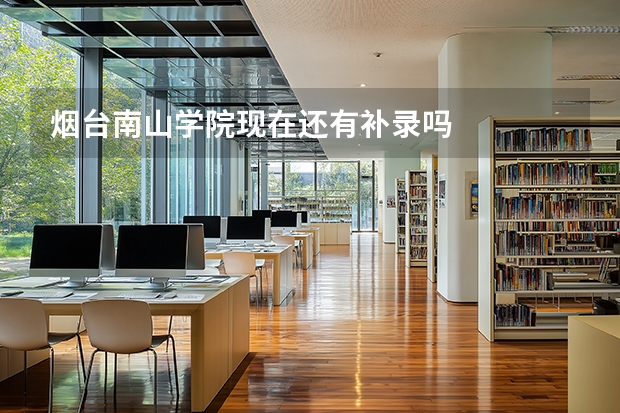 烟台南山学院现在还有补录吗