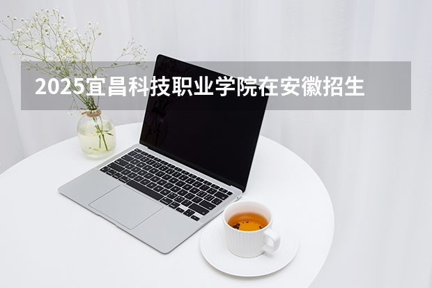 2025宜昌科技职业学院在安徽招生计划（招生人数）