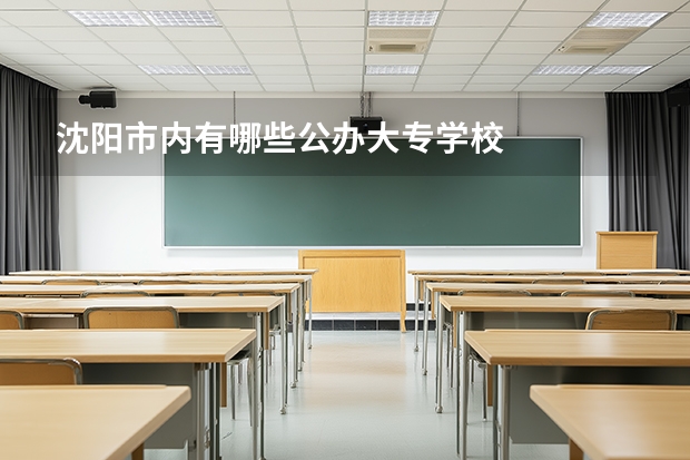 沈阳市内有哪些公办大专学校