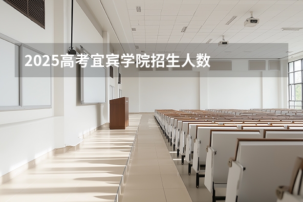 2025高考宜宾学院招生人数
