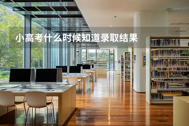 小高考什么时候知道录取结果