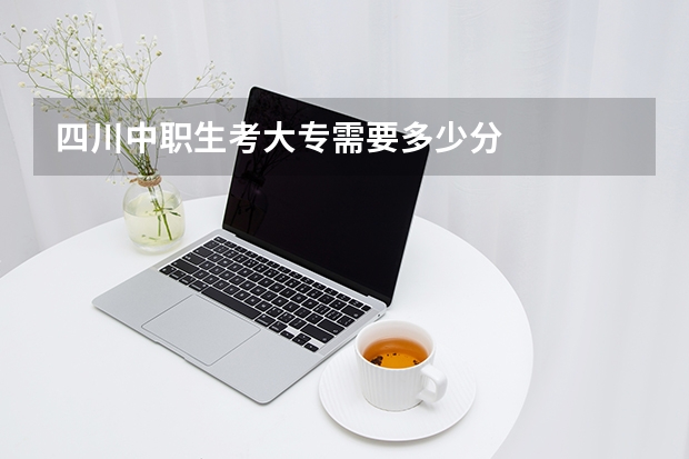 四川中职生考大专需要多少分
