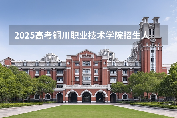 2025高考铜川职业技术学院招生人数