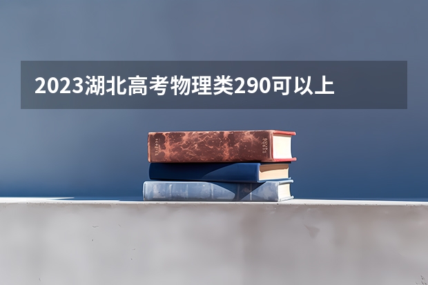 2023湖北高考物理类290可以上什么大学