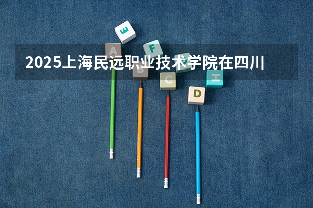 2025上海民远职业技术学院在四川招生计划（招生人数）