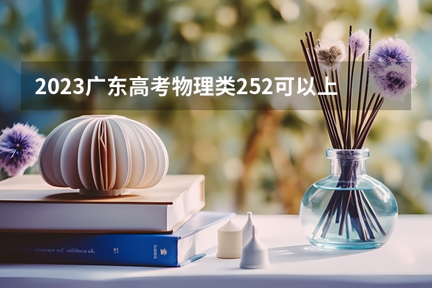 2023广东高考物理类252可以上什么大学