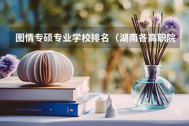 图情专硕专业学校排名（湖南各高职院校王牌专业）