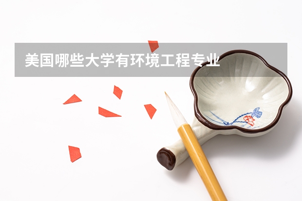 美国哪些大学有环境工程专业