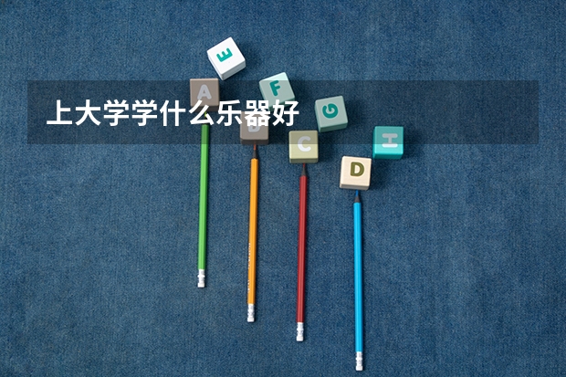上大学学什么乐器好