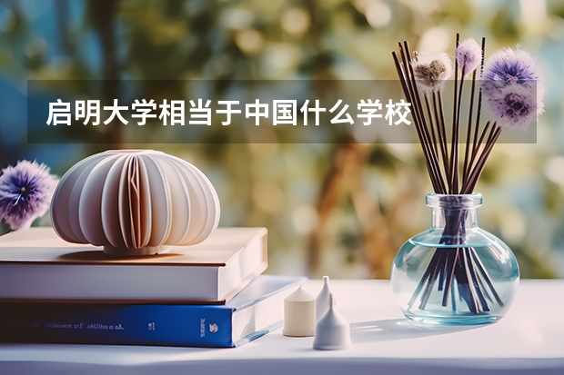 启明大学相当于中国什么学校