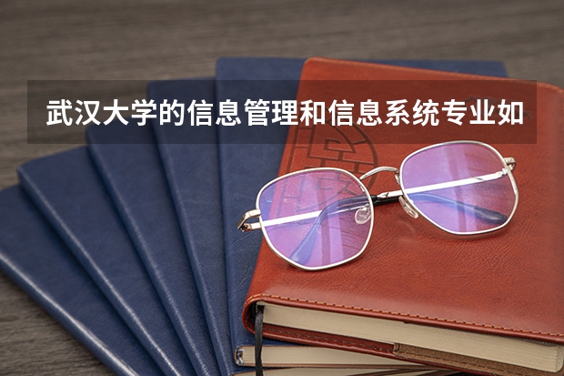 武汉大学的信息管理和信息系统专业如何？