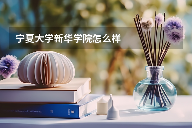 宁夏大学新华学院怎么样