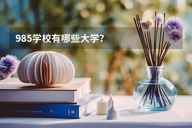 985学校有哪些大学？