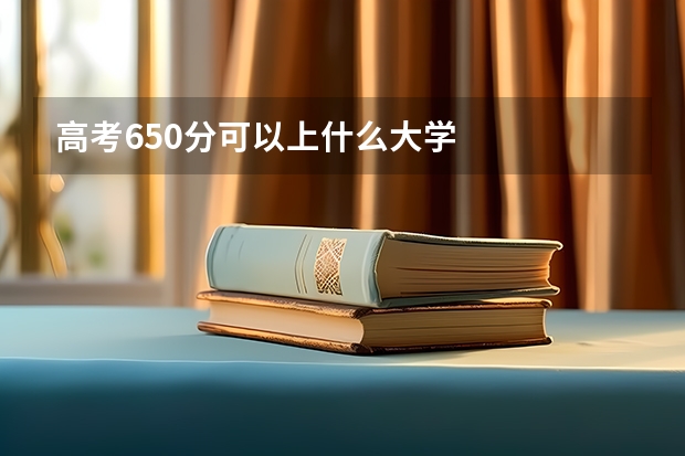 高考650分可以上什么大学